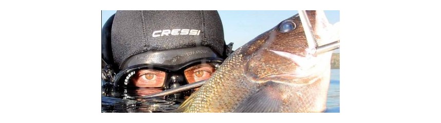 Pesca sub