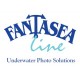 Fantaseal