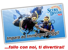 Associazione Attività Subacquee